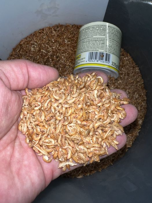 Гаммарус корм для рыб и черепах