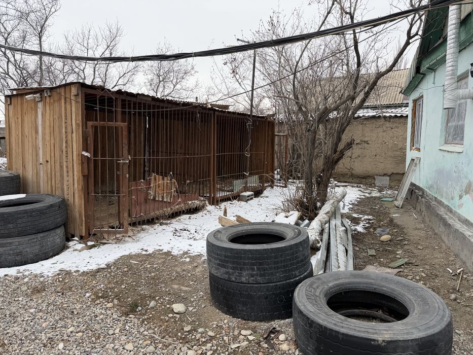 Продам дом с откормом для скота