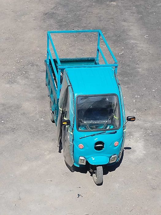 Трицикил муравильник