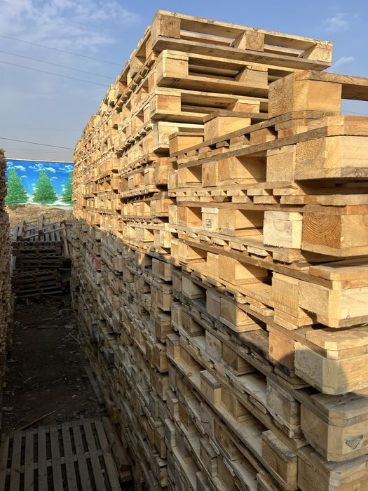 Поддон паддон paddon poddon асартимент