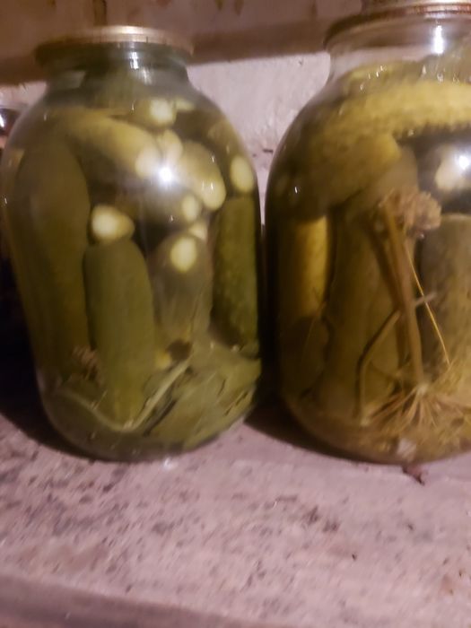 Соления  заготовки