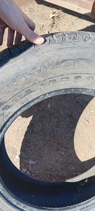 Летние шины nokian