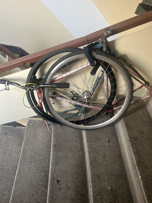 Cadru curisera Shimano Racer 28 si cadru Fixie 26 200 lei bucata sau 300 ambele