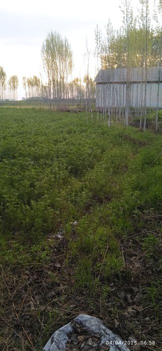 Ер учаска сотилади