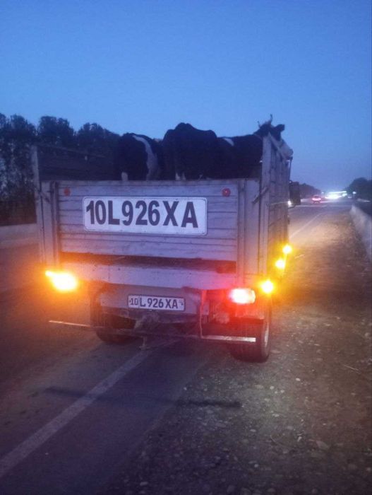 Уаз 3303 сотилади холати яхши