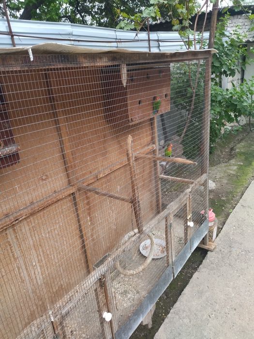 Большая клетка для попугайев