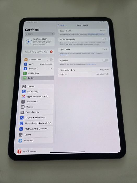 Ipad Pro 11inch m4 Cellular 256gb