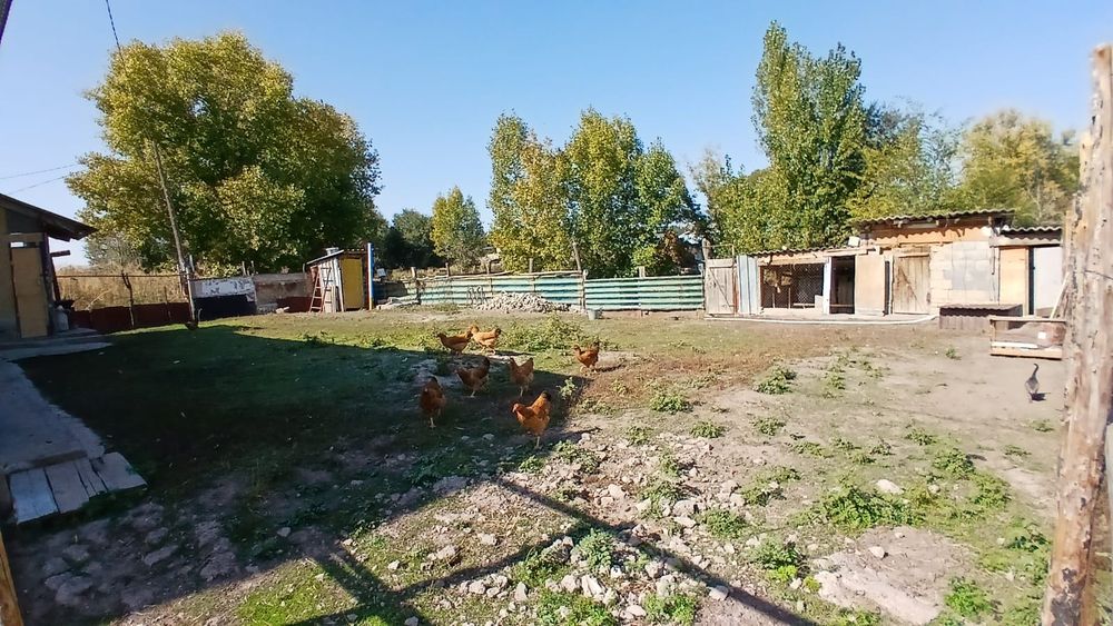 Продаю дом по хорошей цене