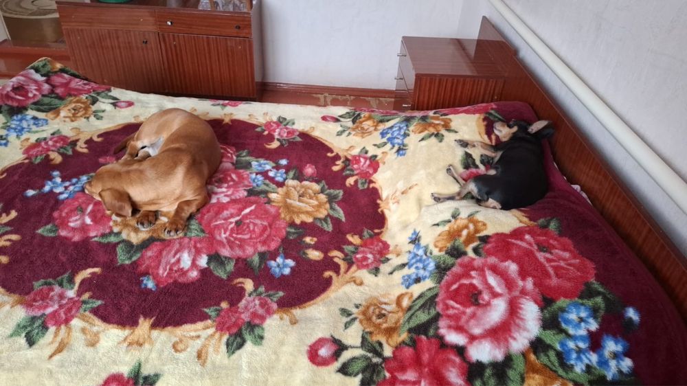 Продам диски комплект 17