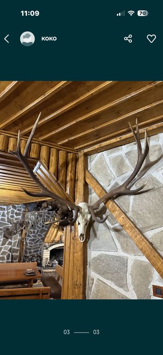 Ловни трофеи  на супер цени