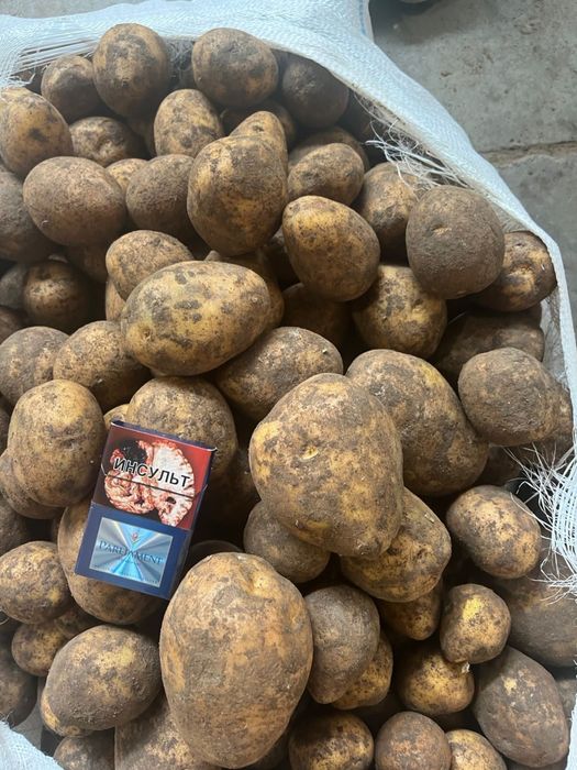 Картофель гала 150 тенге отпом