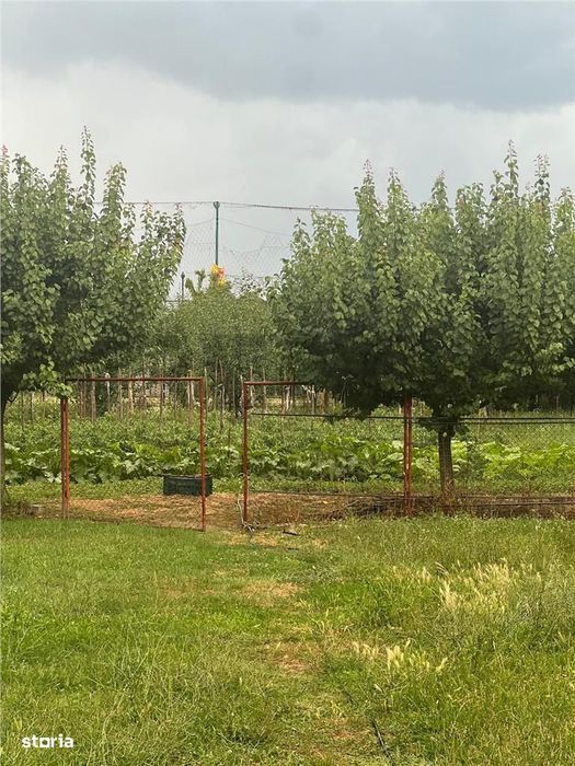 RECO Casa Tileagd