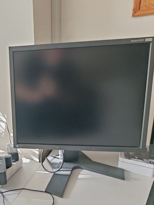 Монитор Eizo Flexscan S1931