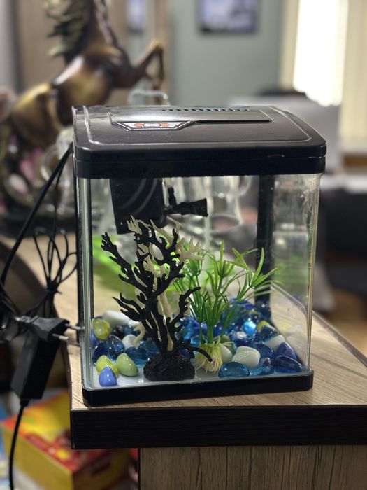 Akvarium mini xitoy
