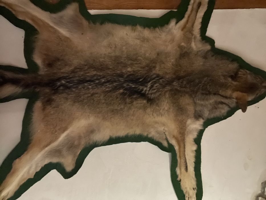 Вълчи кожа естествена