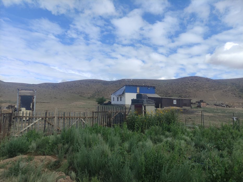 Ауыл шаруашылығы сатылады