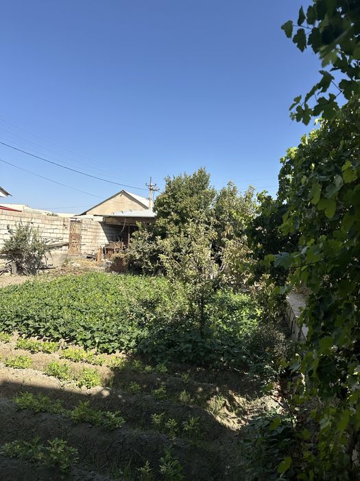 Hovli sotiladi. Karmana tumani