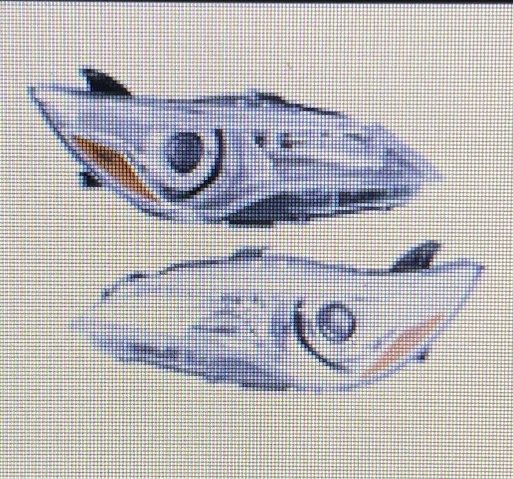 Camry 55 фара se le