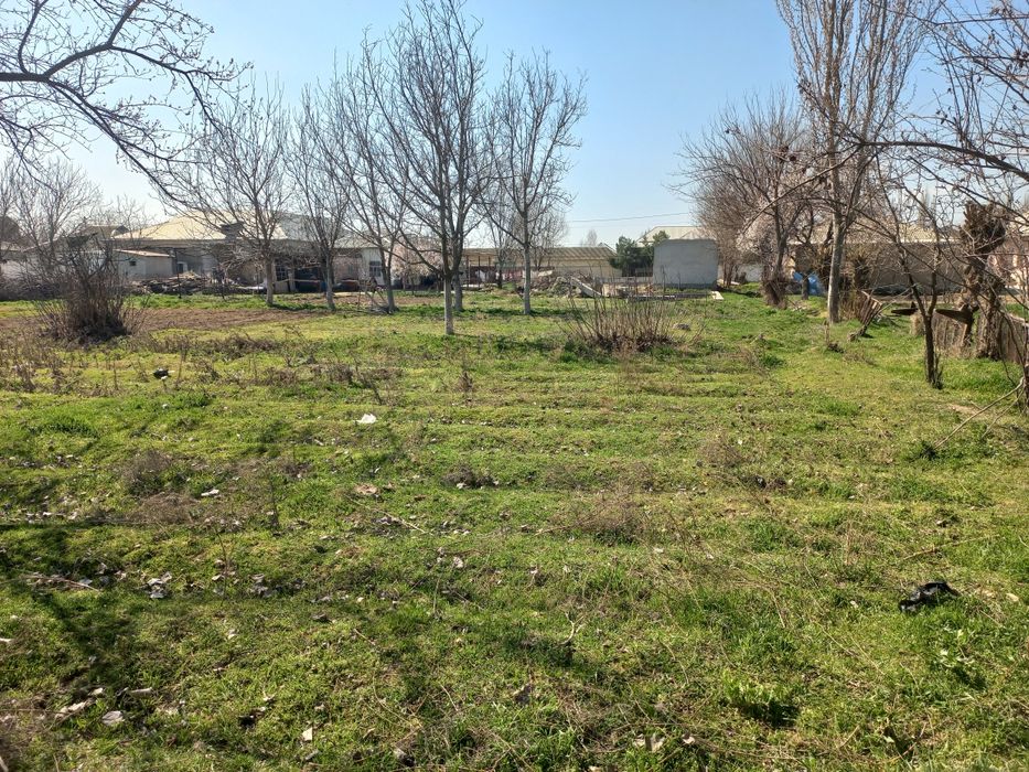 Гулистон шахар Истиклол махалласи, Истиклол кучаси, 15 сотих