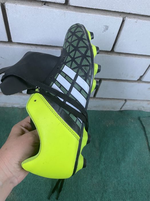 Продам будцы