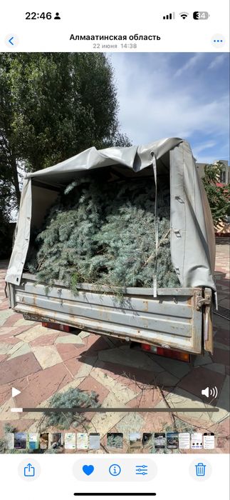 Вывоз мусора на газели. Переезд. Доставка