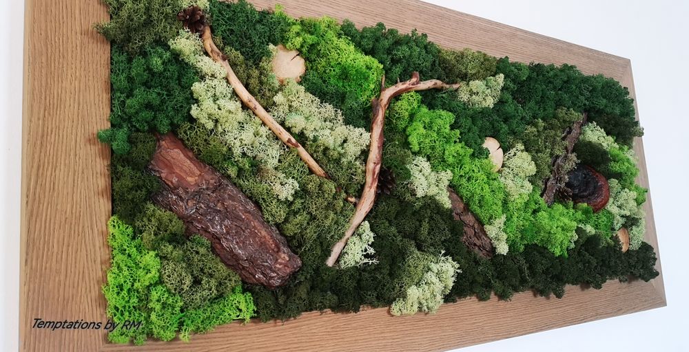 Картини със скандинавски мъх