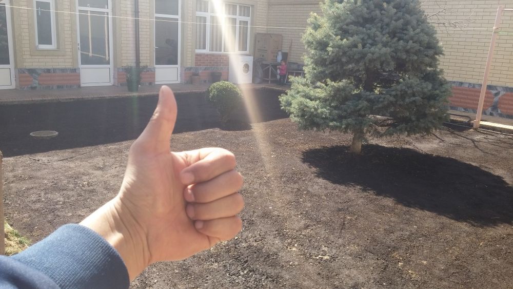 Gazon sifatli va tez