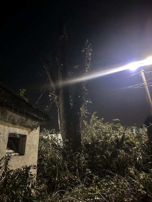 Дерево для бани срочно