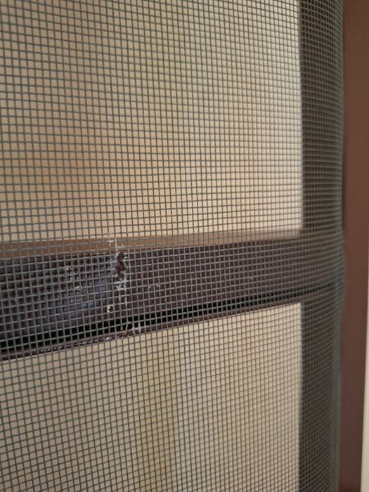 Комарник за врата размер 231/62 см