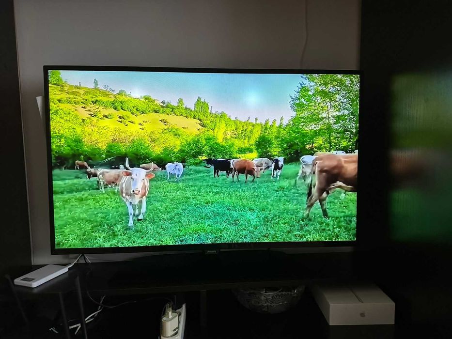 телевизор PHILIPS