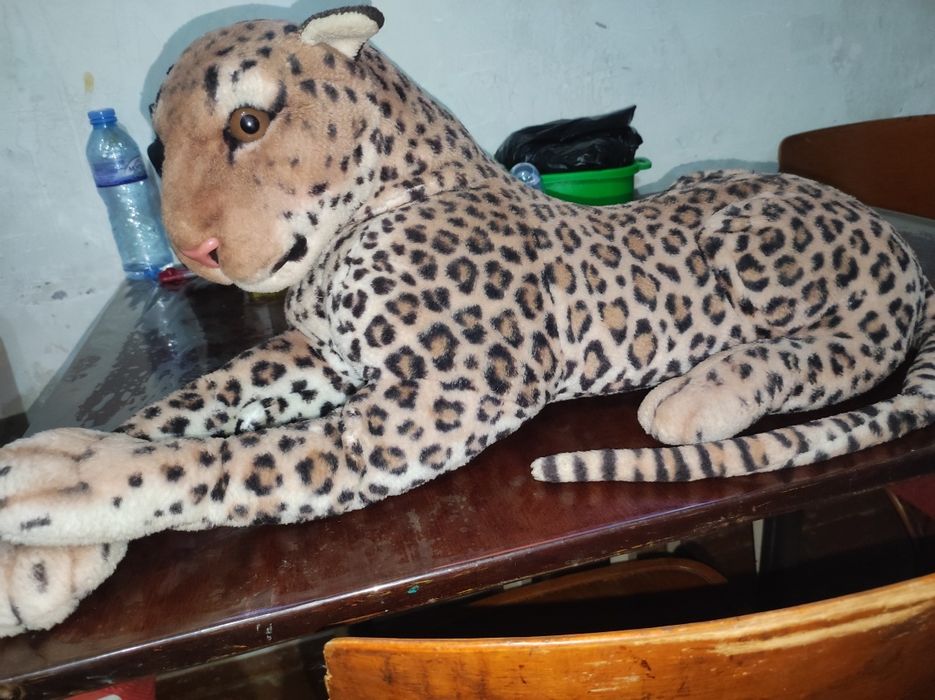 продам леопарда 80см