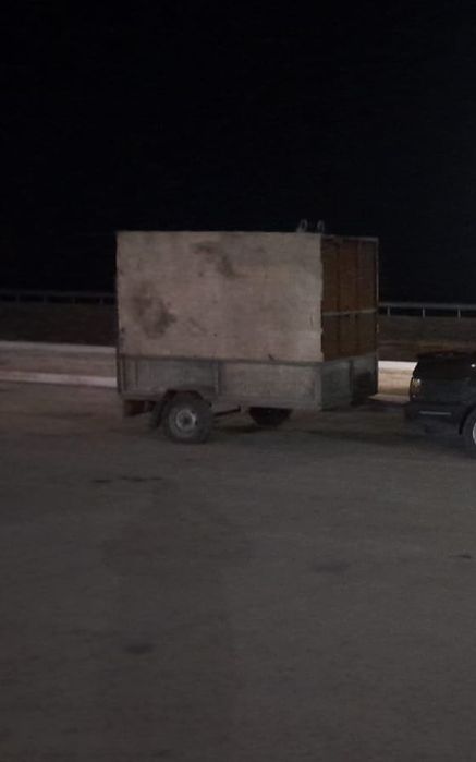 Продам Прицеп, Коневозка