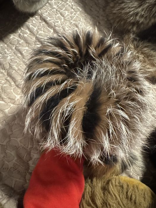 Caciula din blana naturala