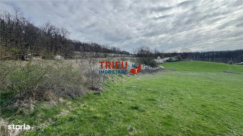 Teren de vanzare pentru cabana langa padure in Ampoita