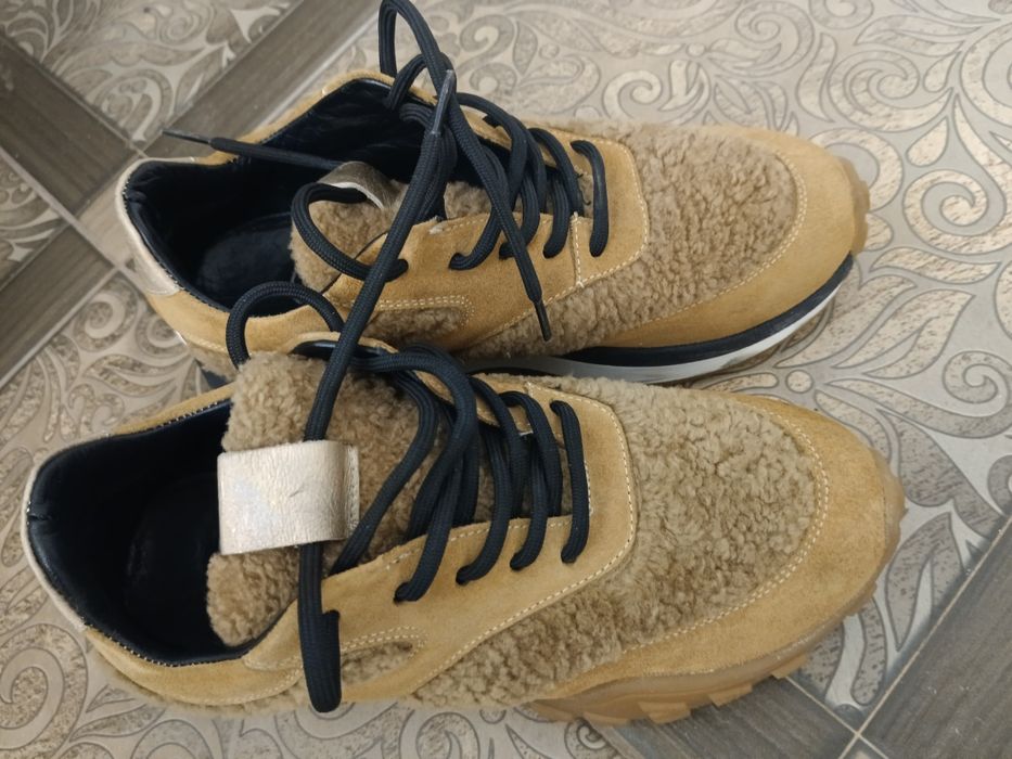 Красовки весенний