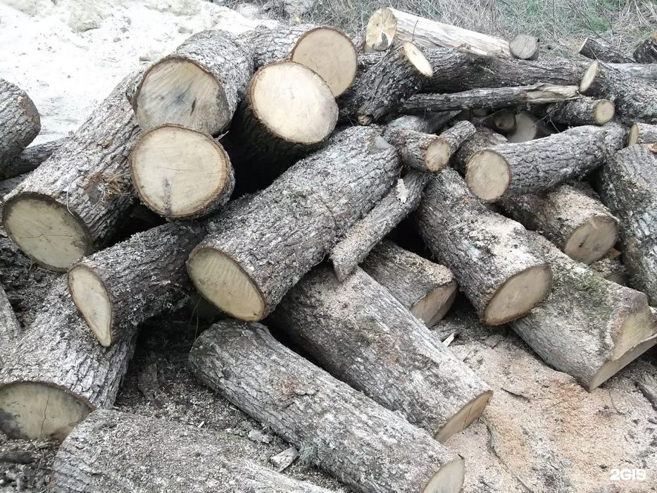 Продам бревна пеньки