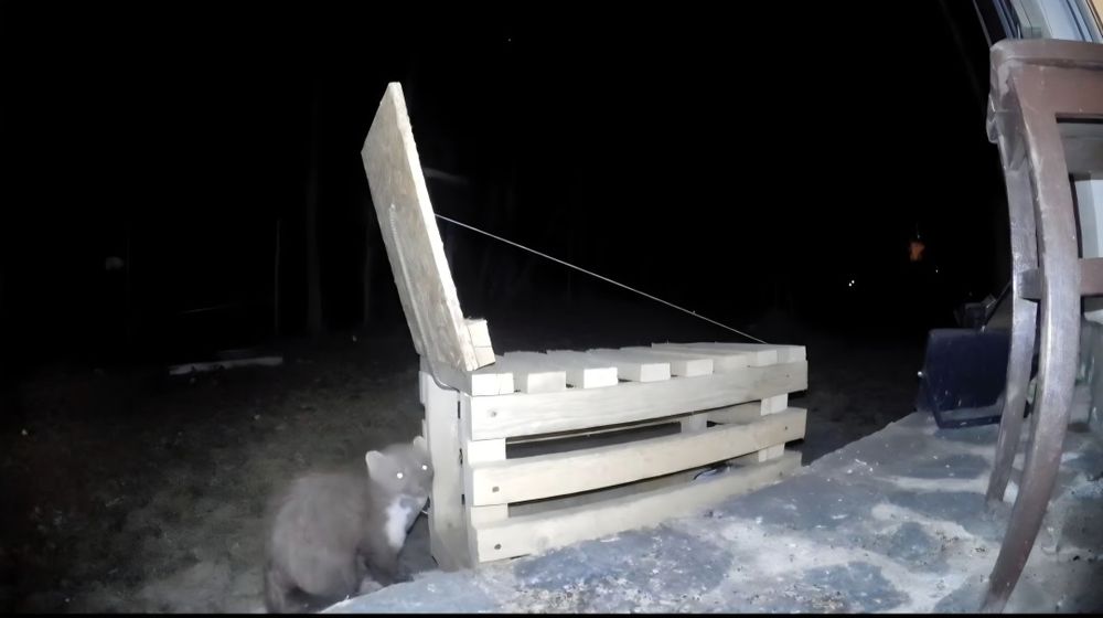 Capcane animale si pasari din lemn