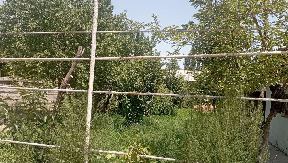 Xovli sotiladi arzon narxda