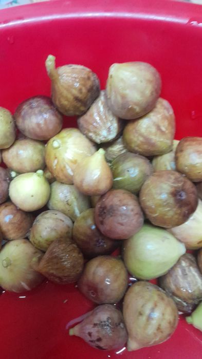 Dulceata, zacusca și altele