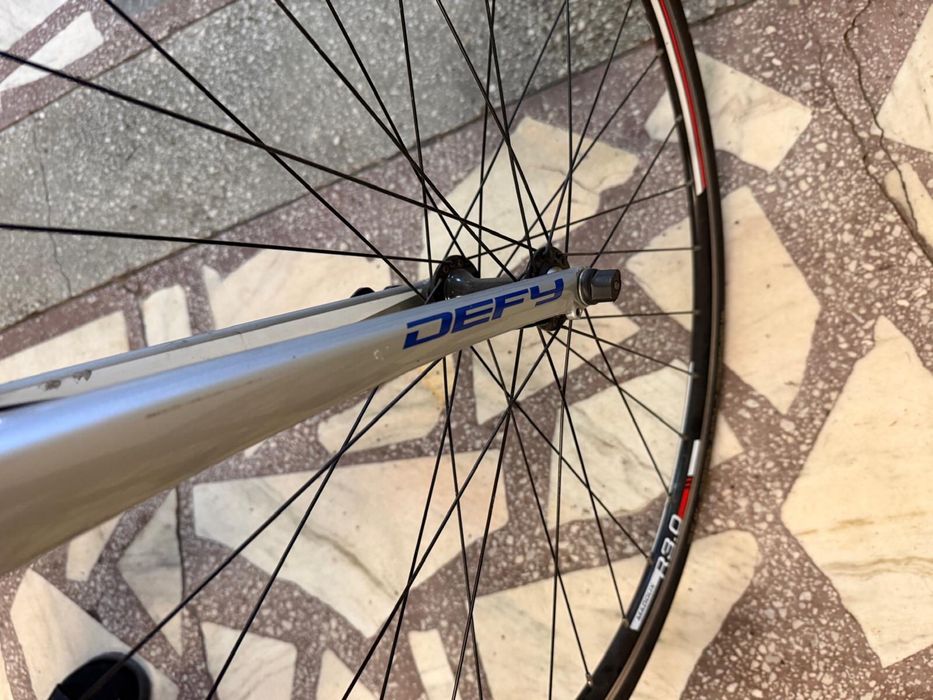 Cursiera Giant 2