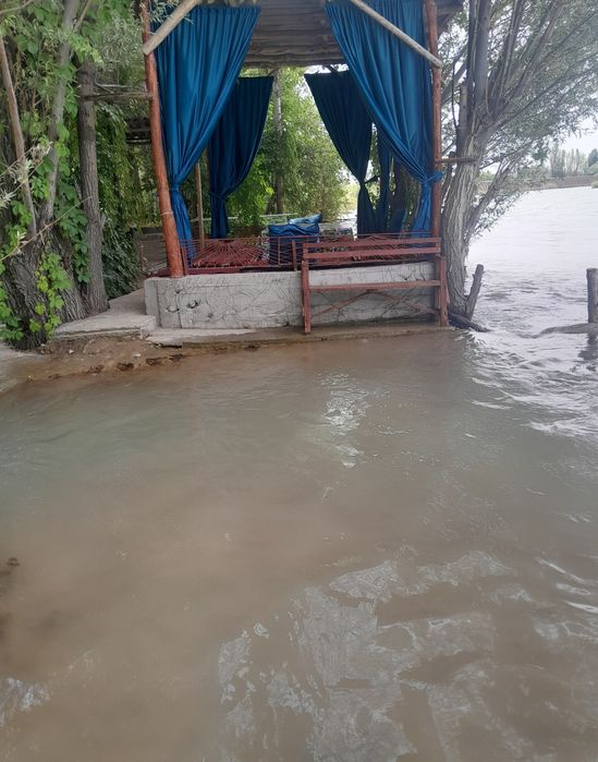 Dacha tapchan tabiyat qoyni