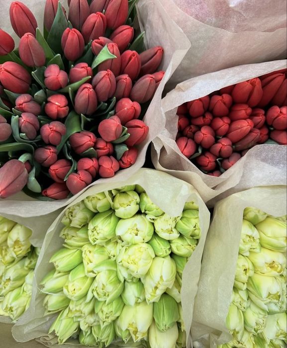 Тюльпаны, которые решают вопрос