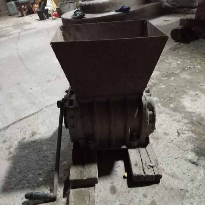 Узум чнсигич вено