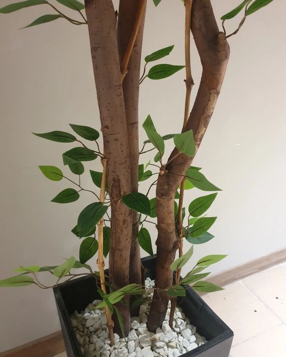 Искусственные Деревья (Костанай )