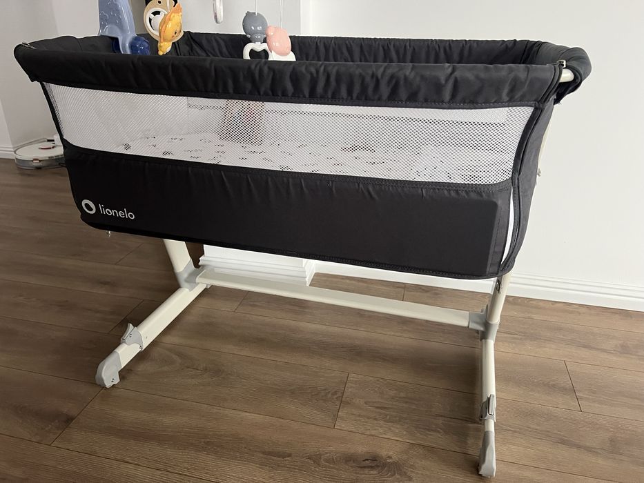 Patut bebelus lionelo