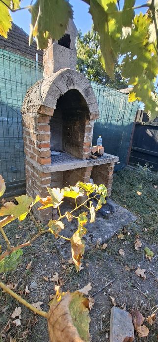 Casa micuta de inchiriat, cu curte mare, primim si cu animale de companie fara probleme.