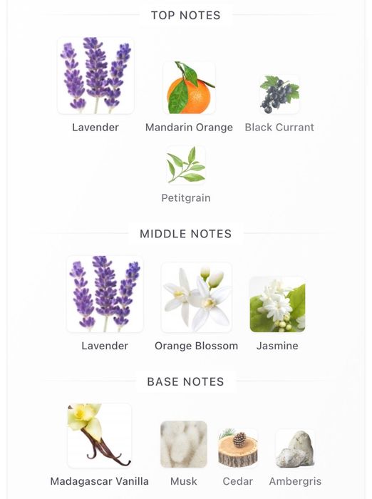 Yves Saint Laurent LIBRE Парфюмна вода (EDP) - 90ml