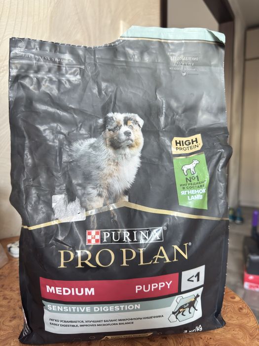 Корм сухой для собак