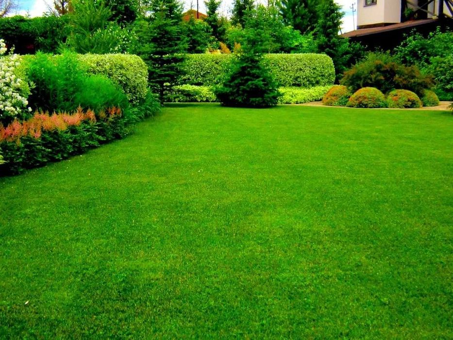 Газон экиш хизмати