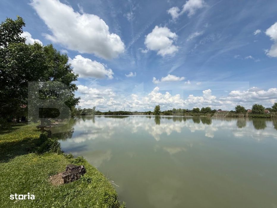 Teren cu livada si lac populat cu peste, 37.620 mp, zona Oar - Vetis
